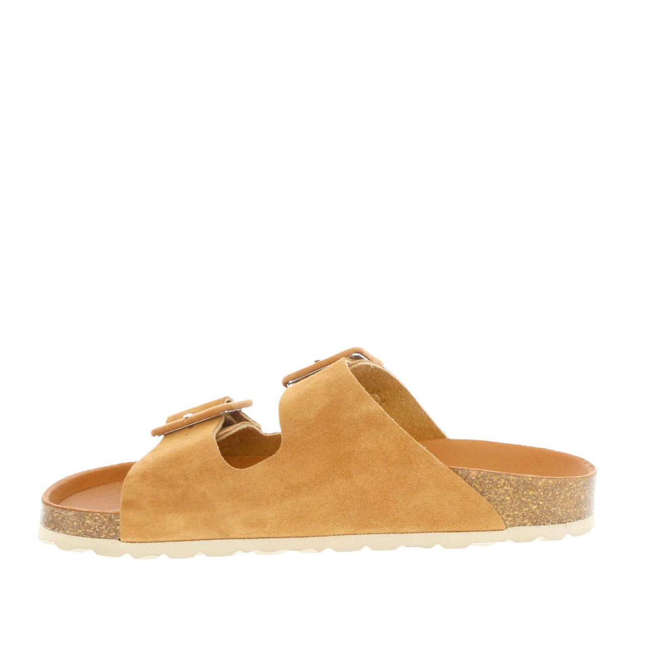 Verbenas - Randell Ginger