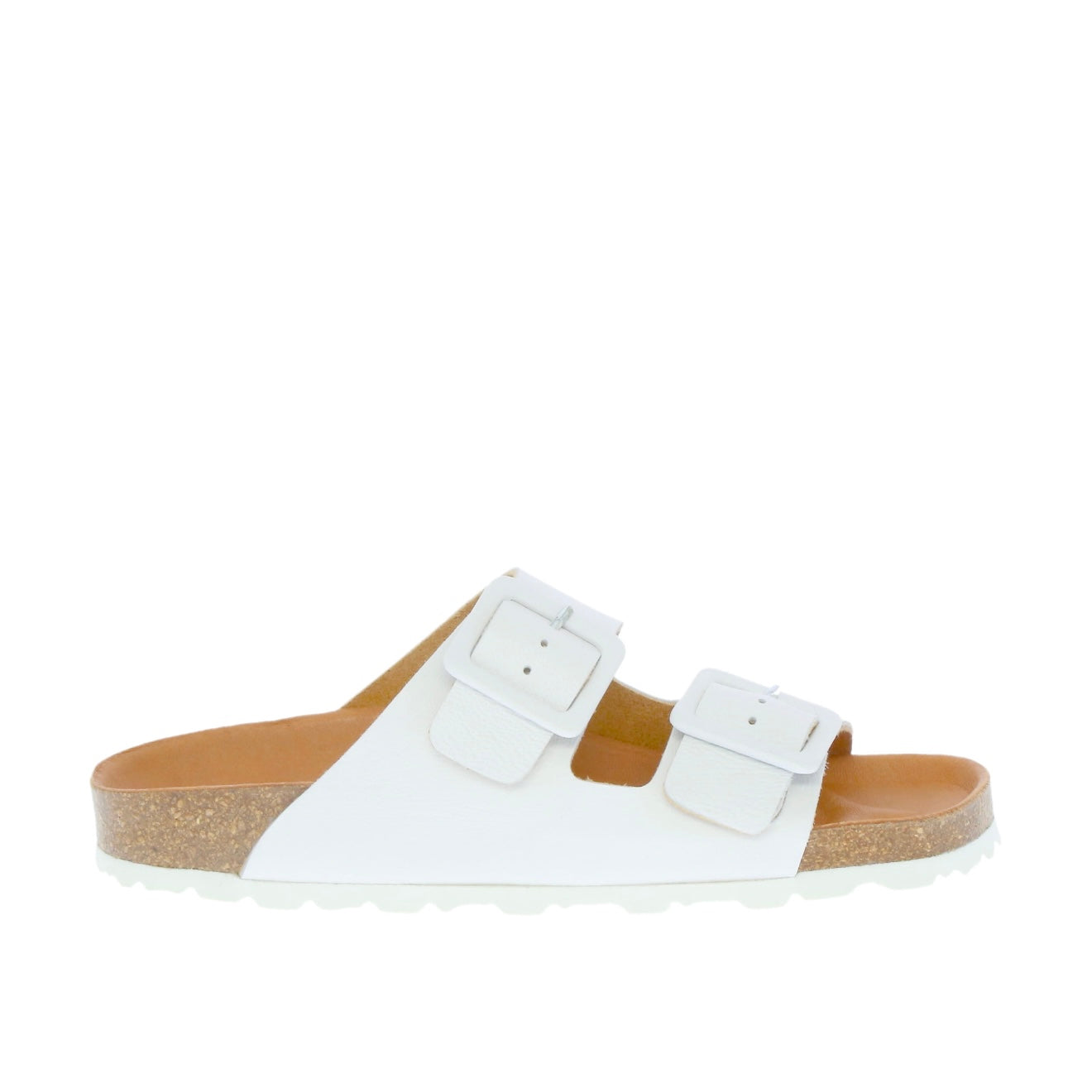 Verbenas - Randell White