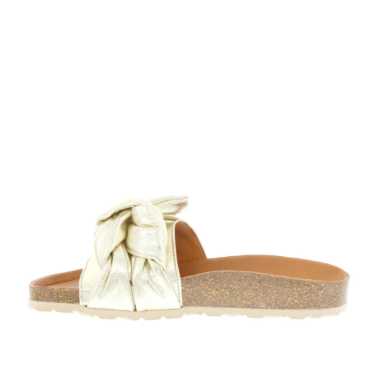 Verbenas - Roxy Gold