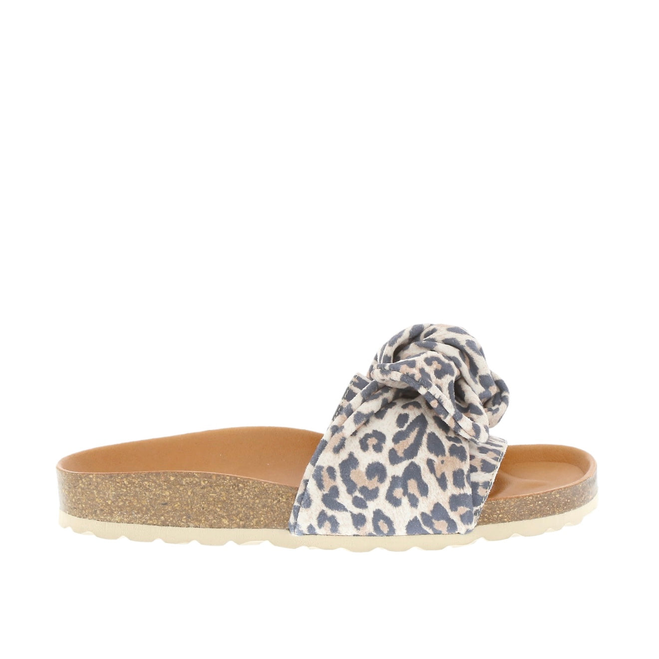 Verbenas - Roxy Leopard