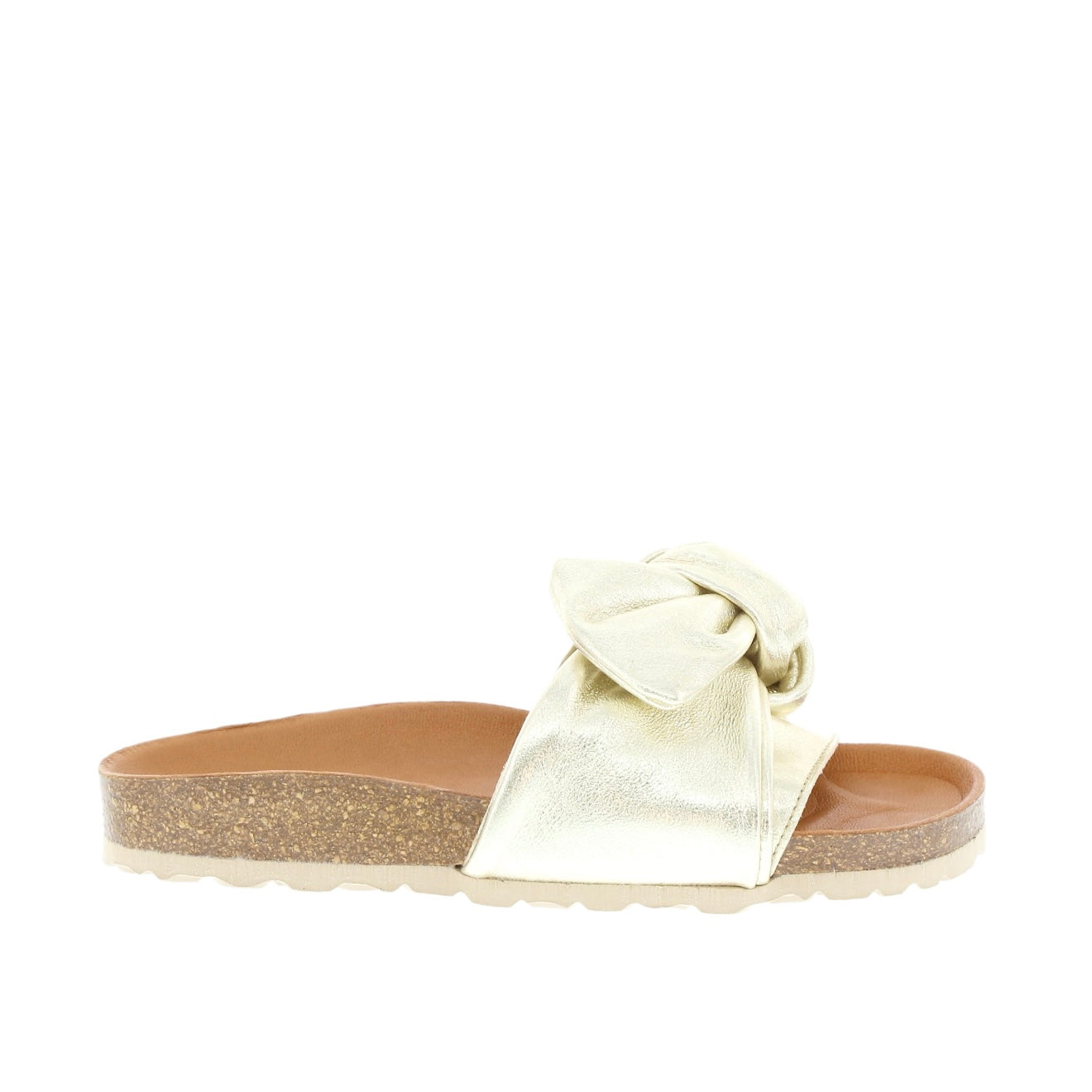 Verbenas - Roxy Gold