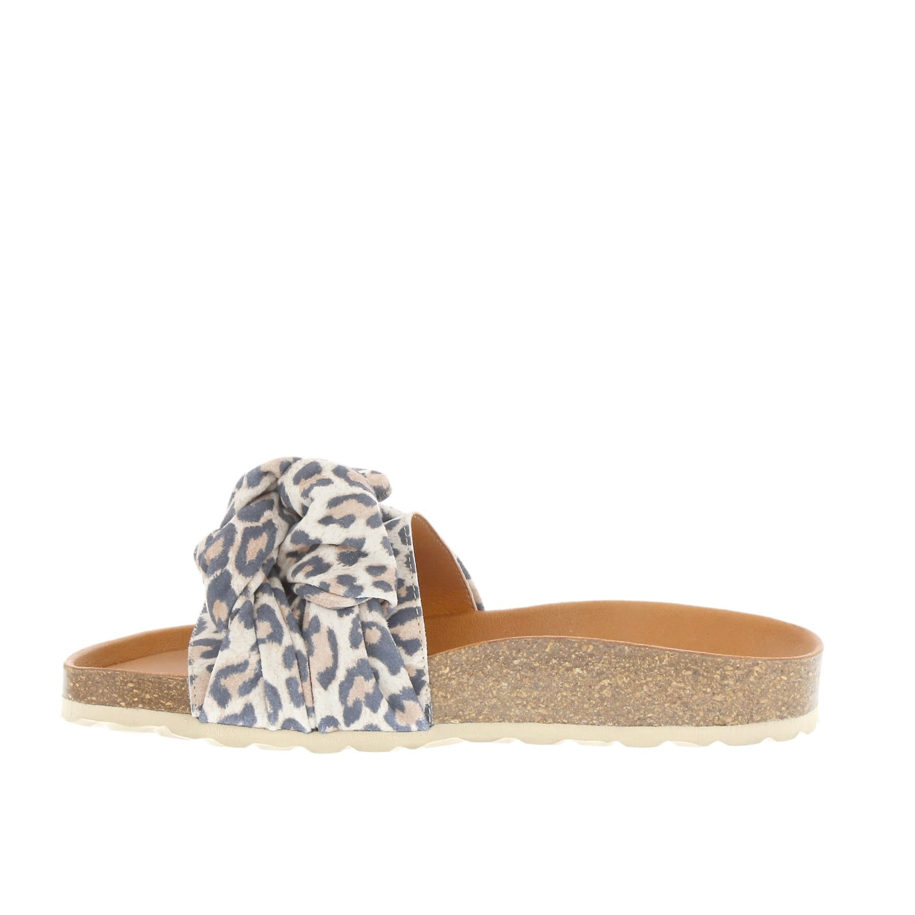 Verbenas - Roxy Leopard