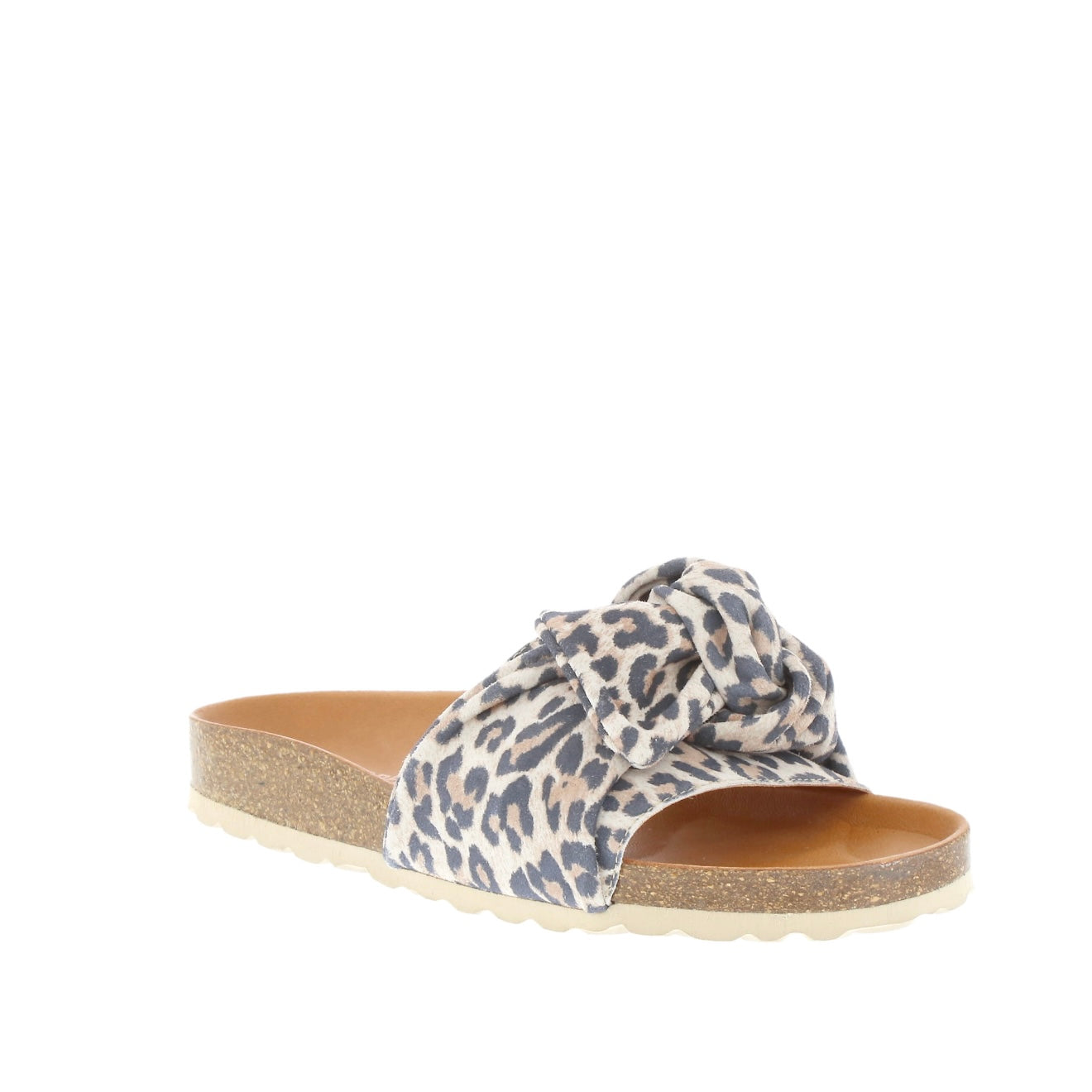 Verbenas - Roxy Leopard