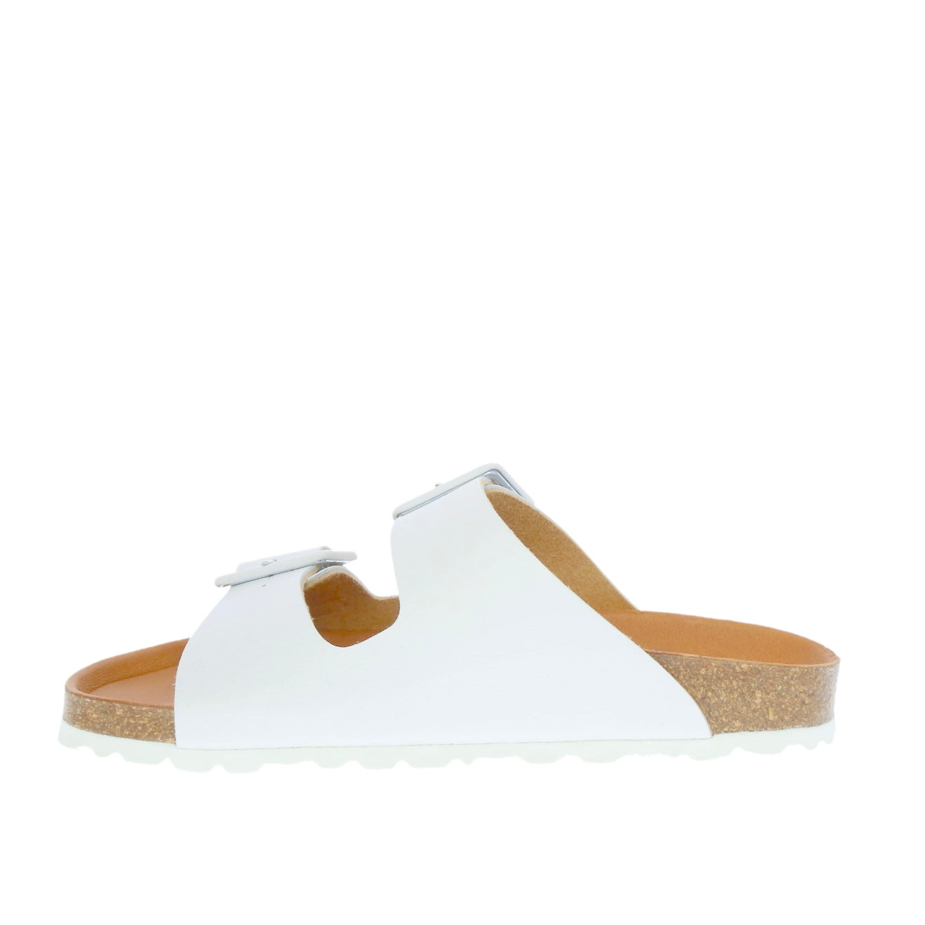 Verbenas - Randell White