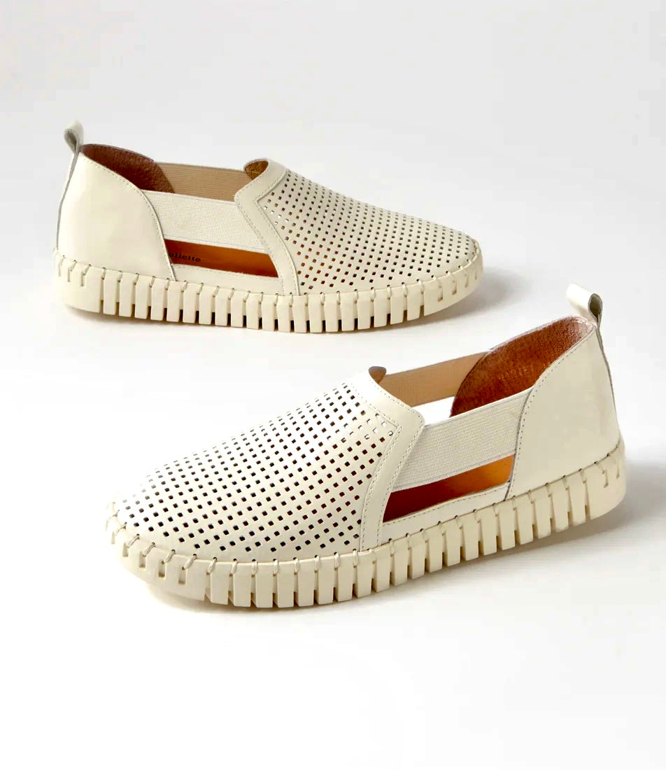 Django & Juliette - Habiki Almond