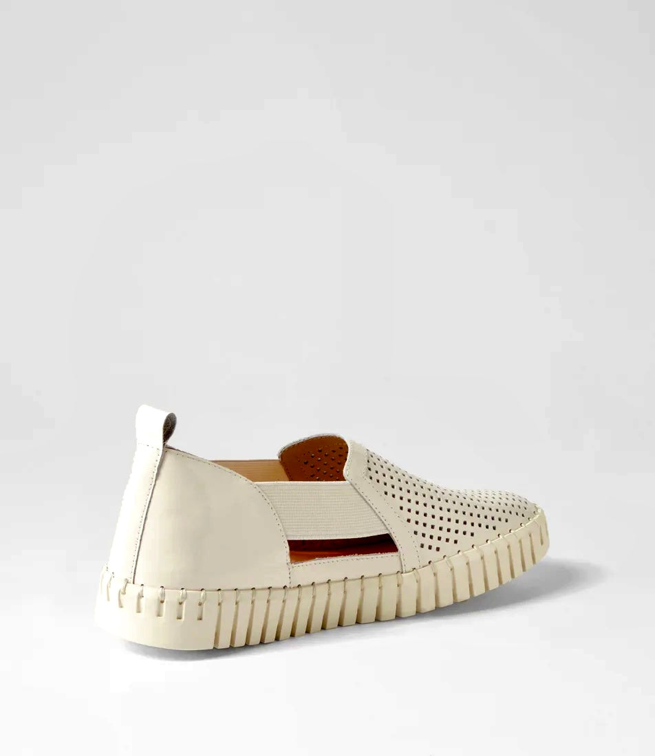 Django & Juliette - Habiki Almond