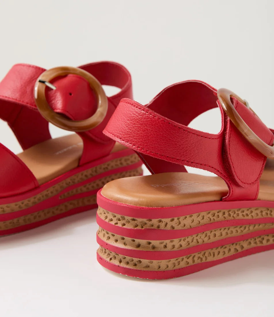 Django & Juliette - Cubbie Red