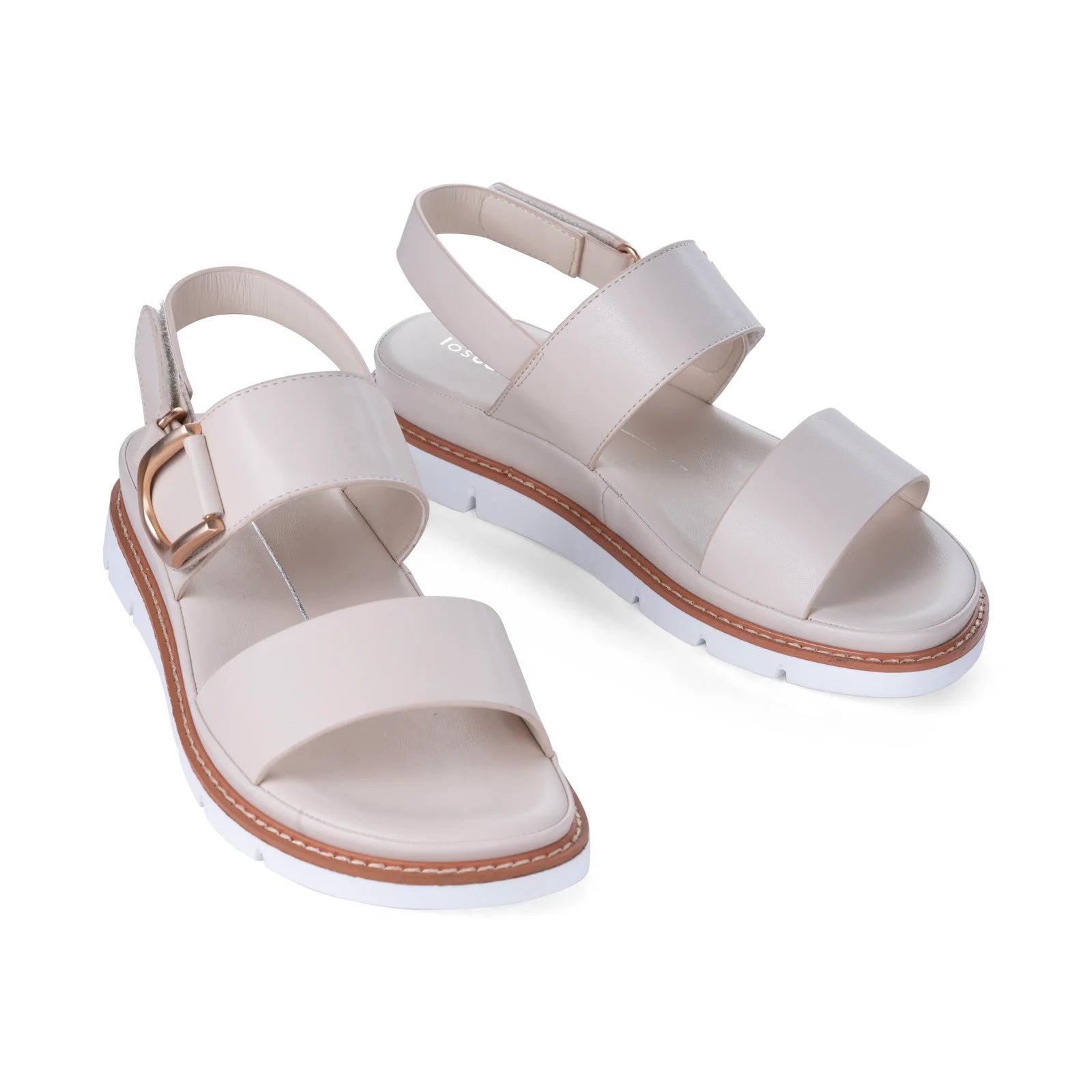 Los Cabos - Sana Bone