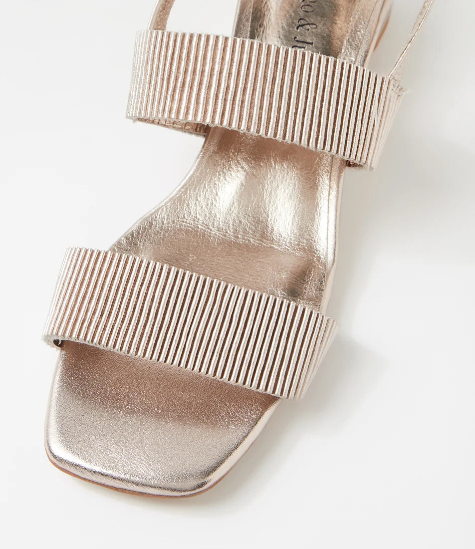 Django & Juliette - Hatsee Platino