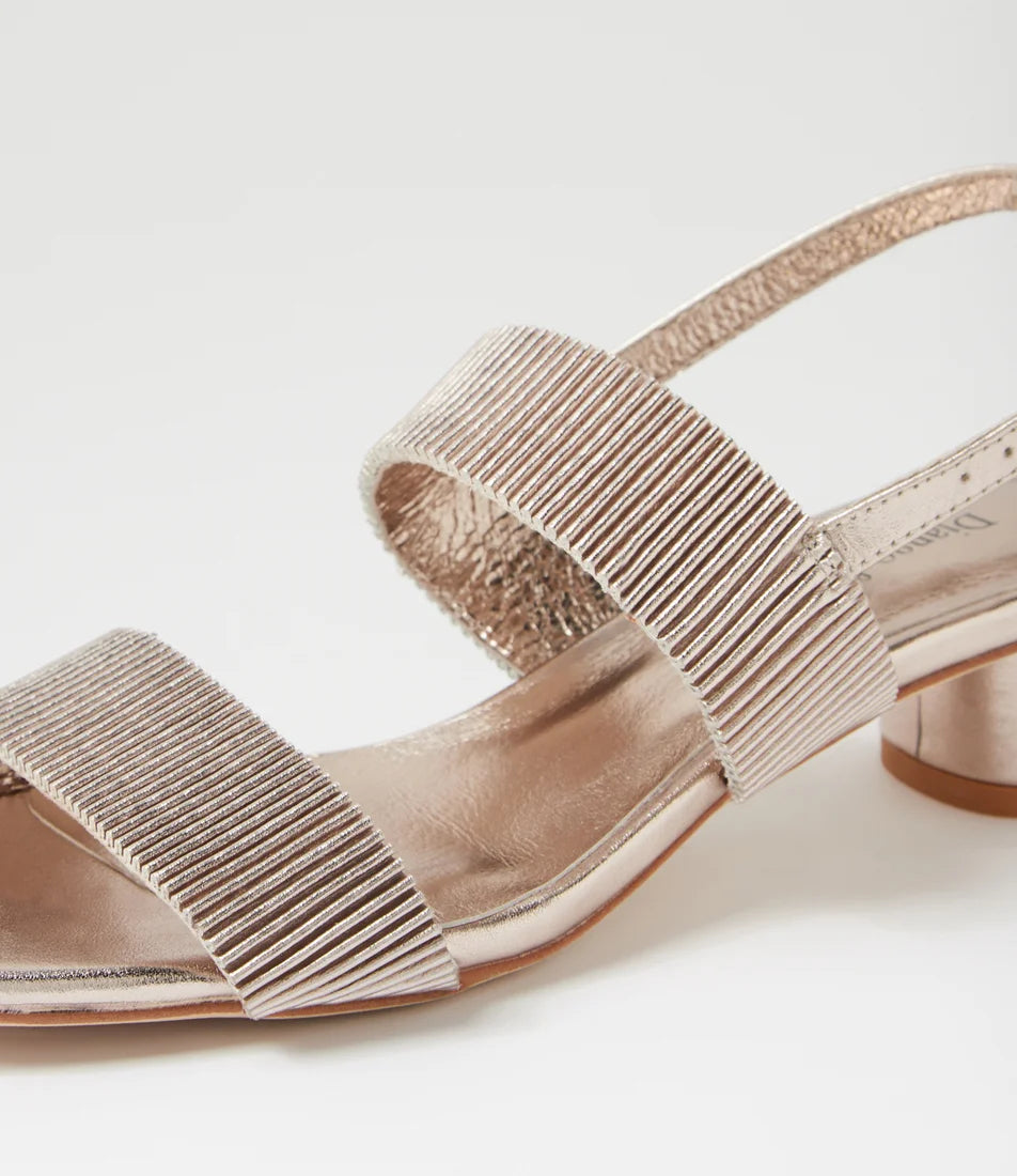 Django & Juliette - Hatsee Platino