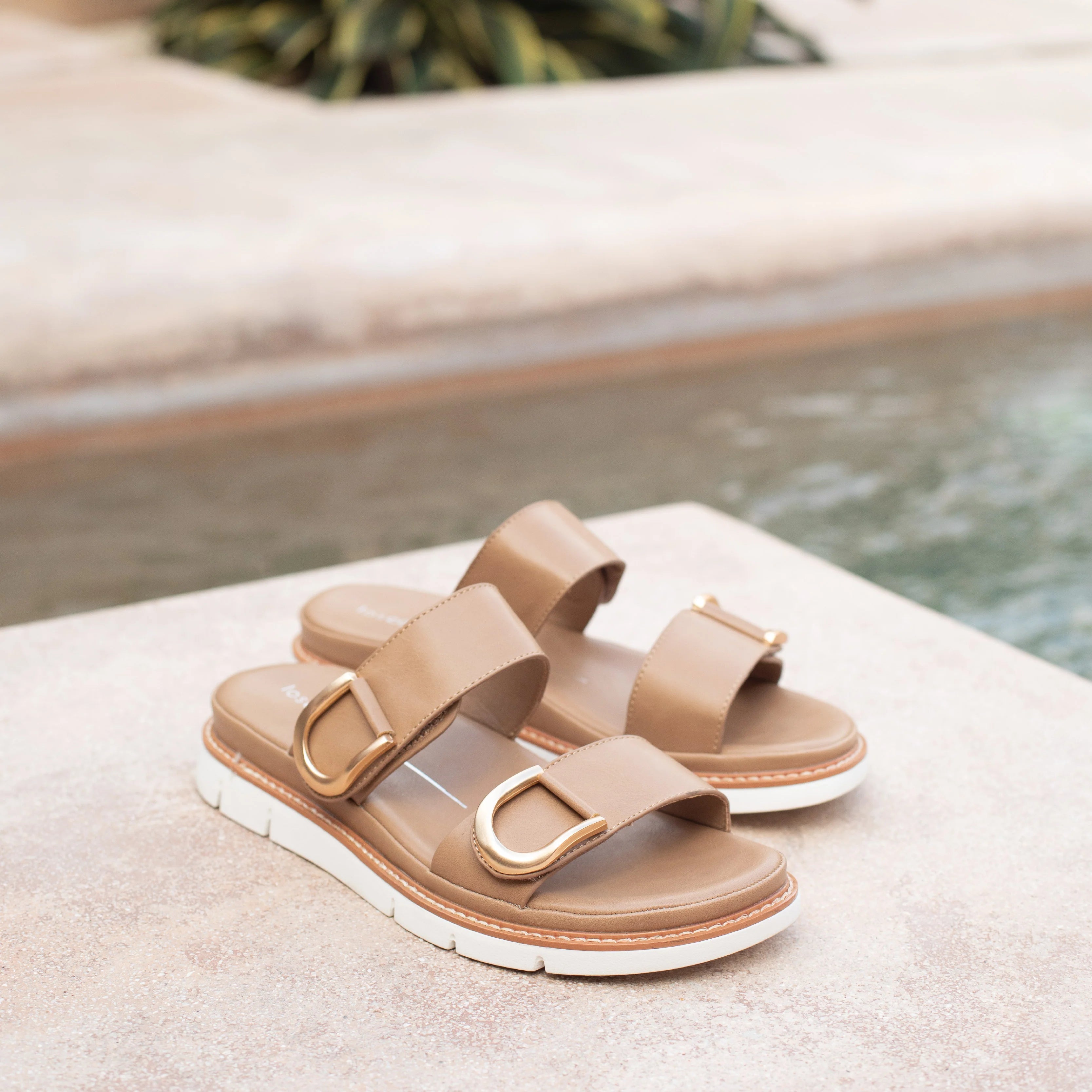 Los Cabos - San Taupe