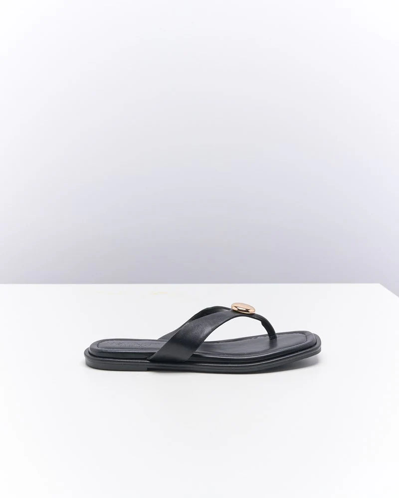 Walnut - Rumer Black