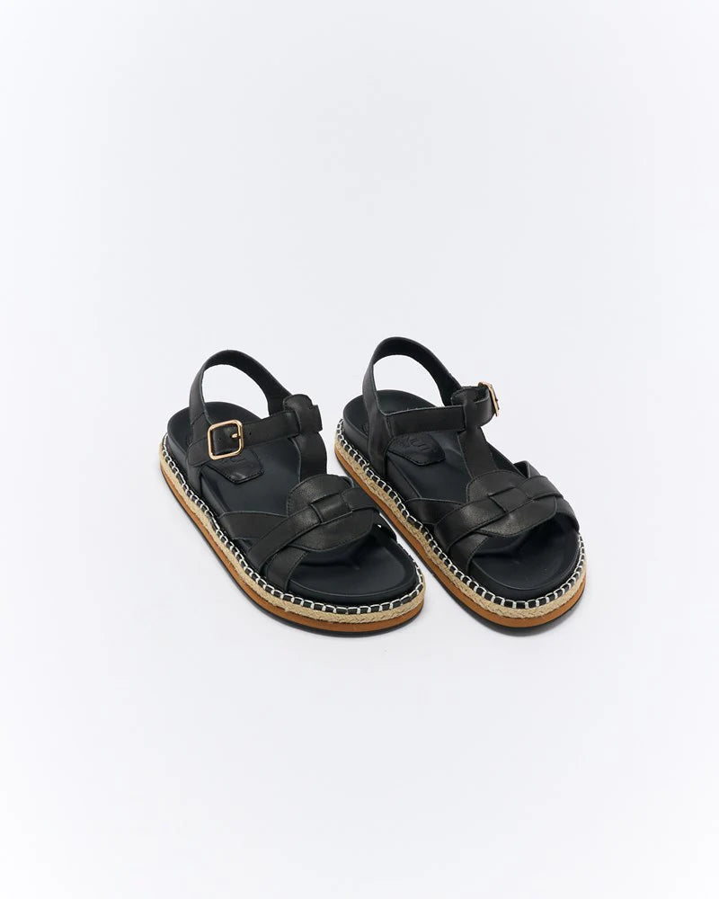 Walnut - Indigo Black