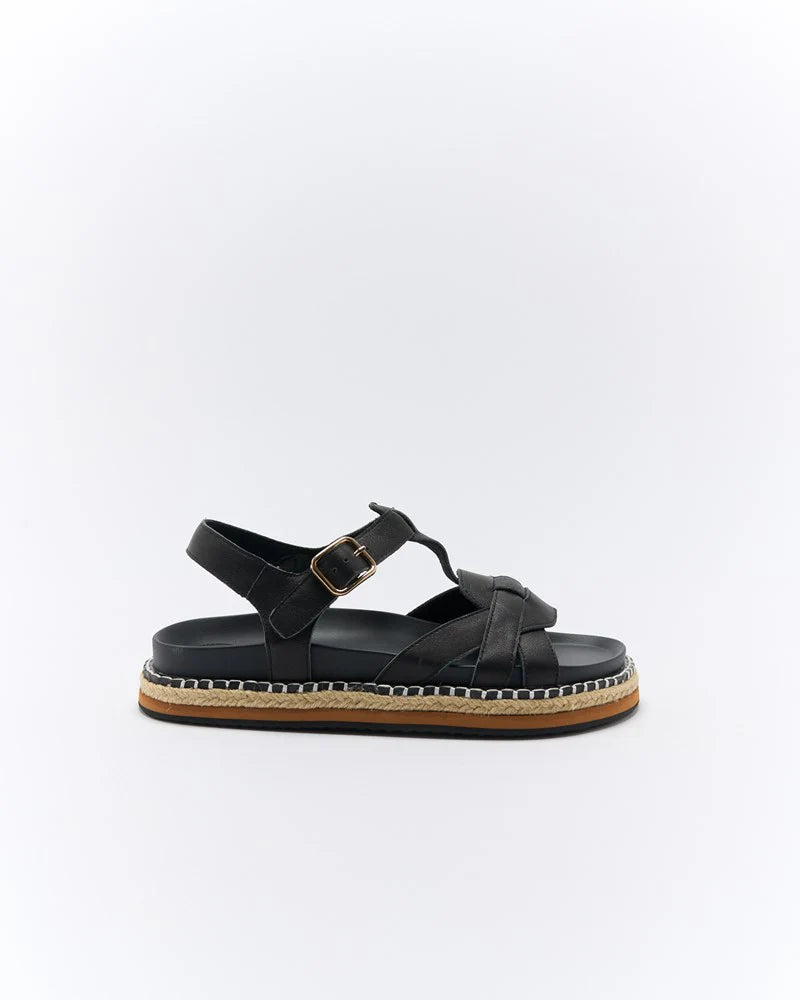 Walnut - Indigo Black
