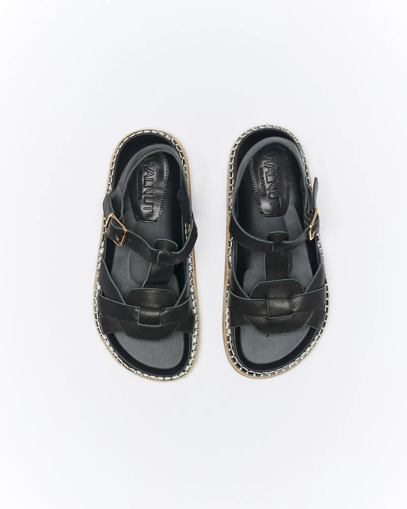 Walnut - Indigo Black