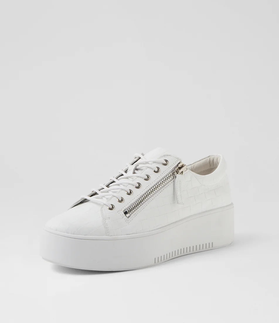 Django & Juliette - Wolfeta White