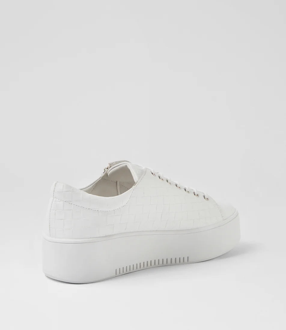 Django & Juliette - Wolfeta White