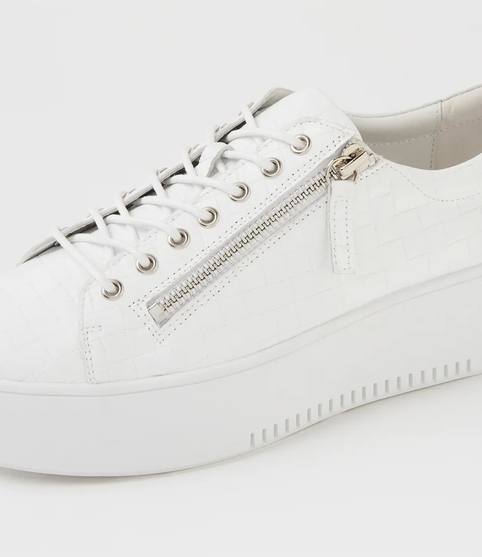 Django & Juliette - Wolfeta White