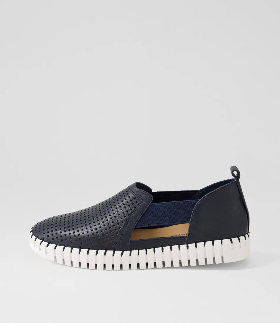Django & Juliette - Habiki Navy White