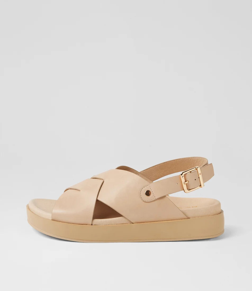 Ziera - Geloe Camel