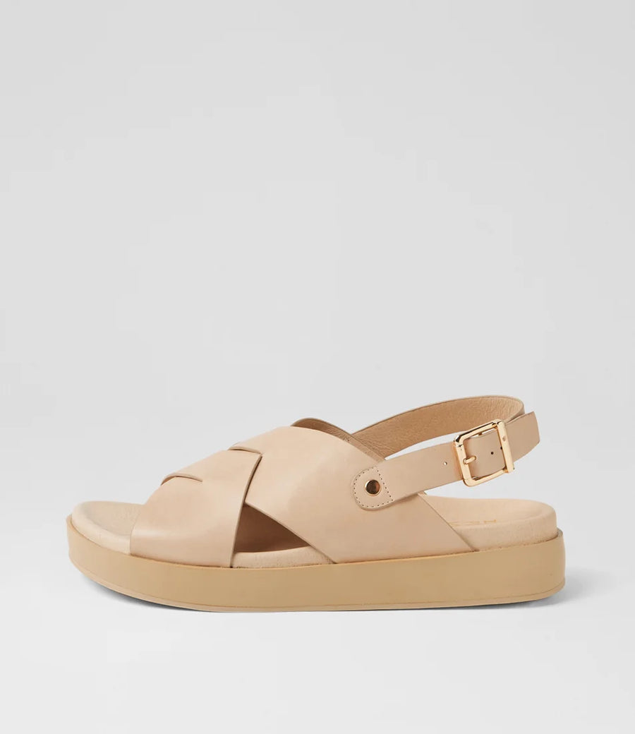 Ziera - Geloe Camel
