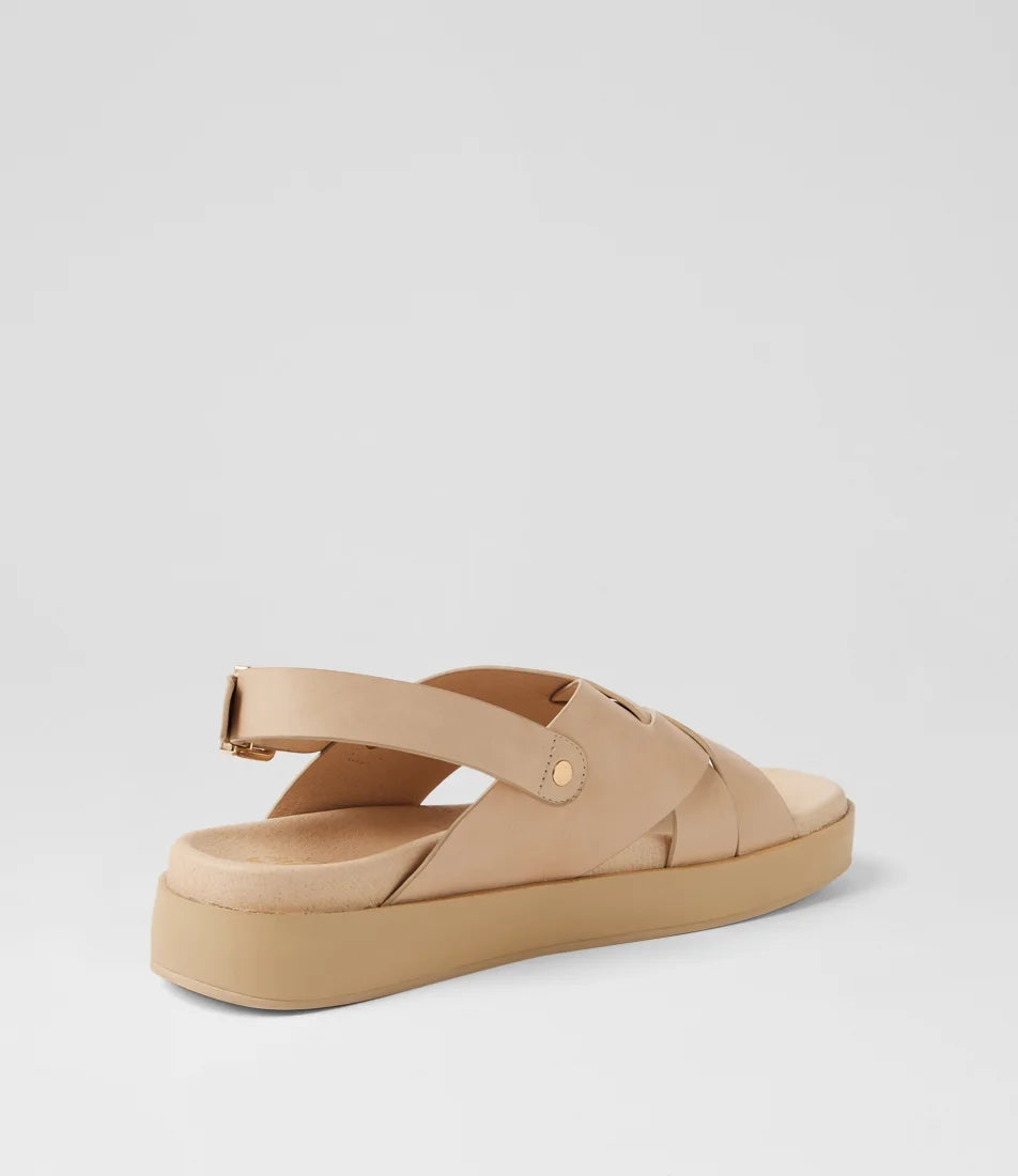 Ziera - Geloe Camel