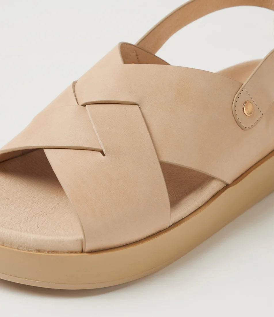 Ziera - Geloe Camel