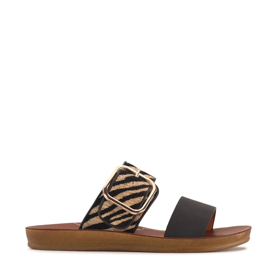 Los Cabos - Doti Black Zebra