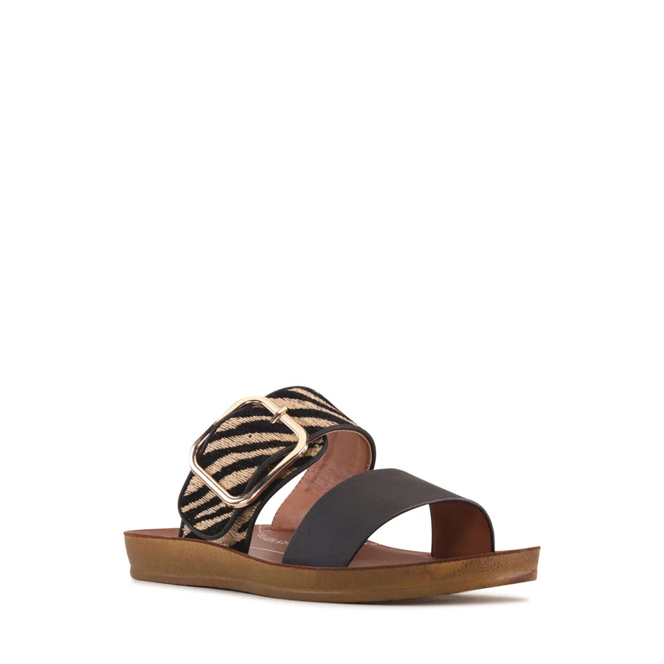 Los Cabos - Doti Black Zebra