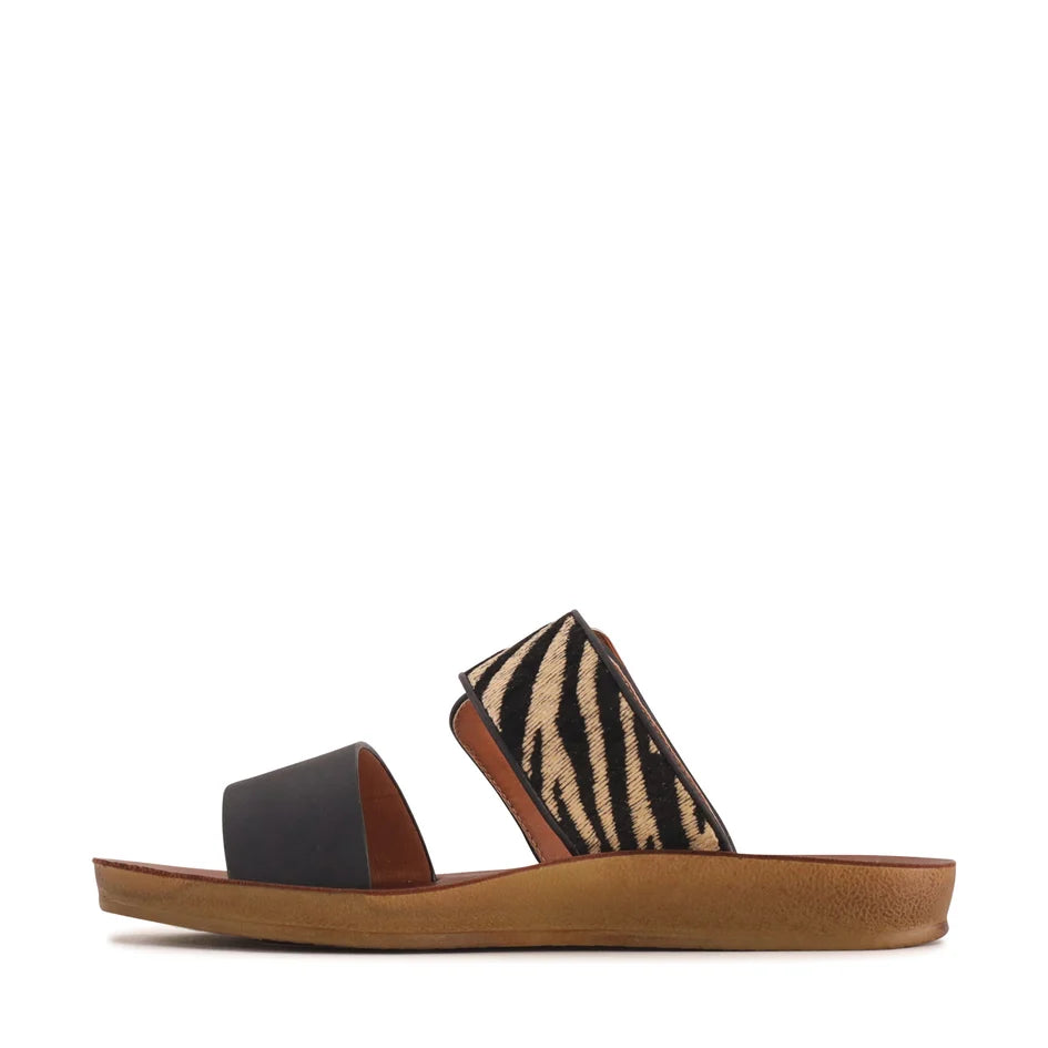 Los Cabos - Doti Black Zebra