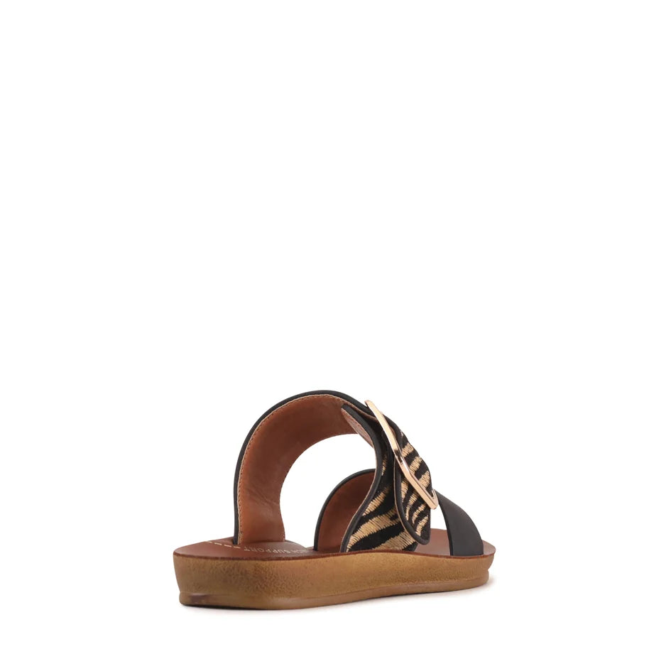 Los Cabos - Doti Black Zebra