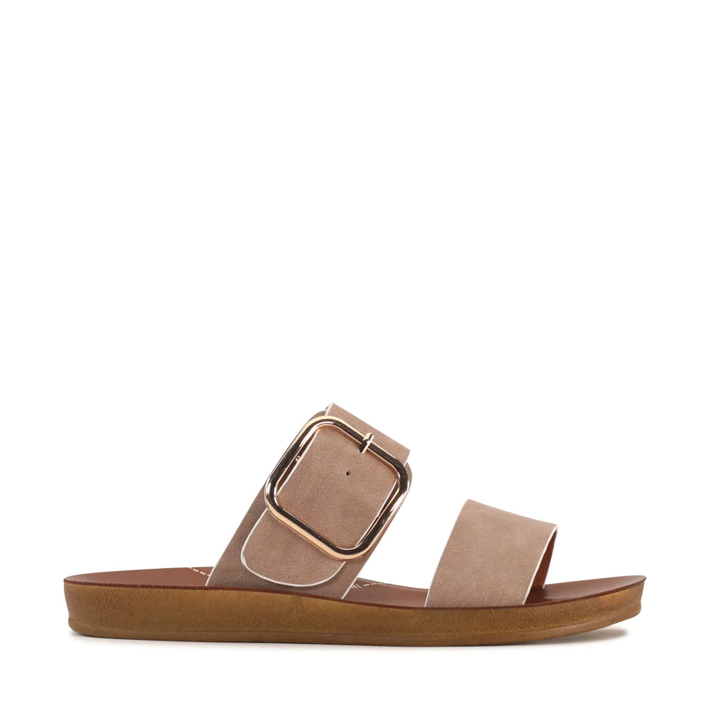 Los Cabos - Doti Taupe White Trim