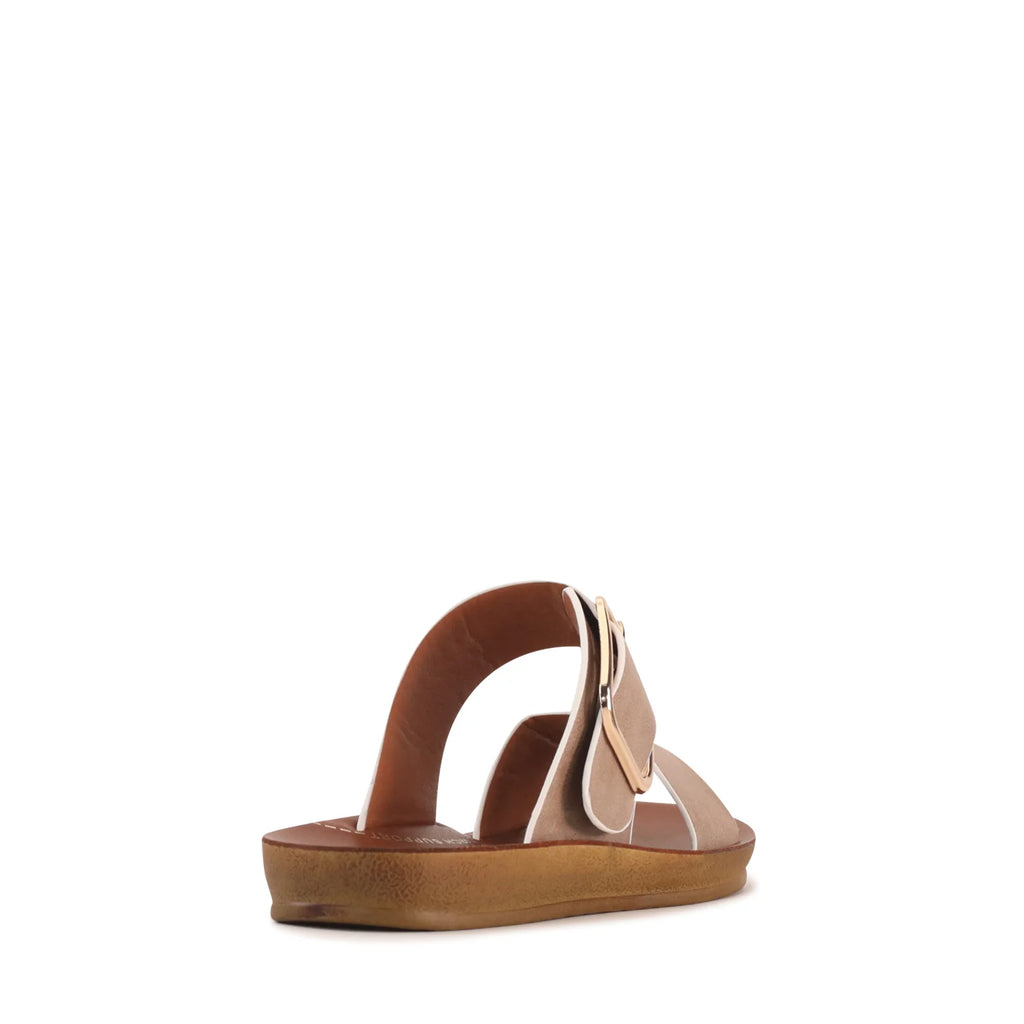 Los Cabos - Doti Taupe White Trim