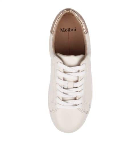 Mollini - Session White Rose Gold Leather